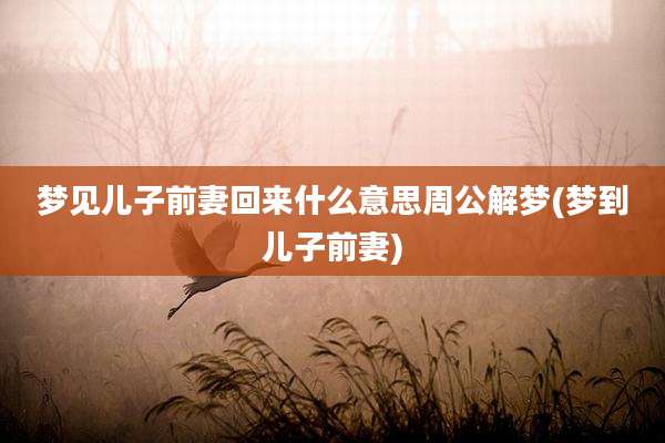 梦见儿子前妻回来什么意思周公解梦(梦到儿子前妻)