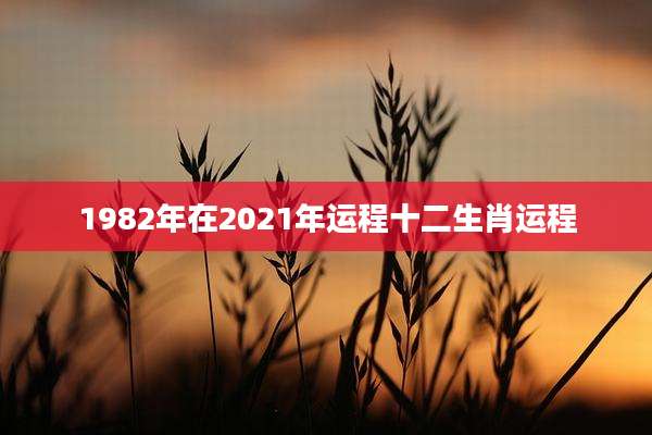 1982年在2021年运程十二生肖运程