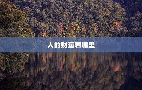 人的财运看哪里