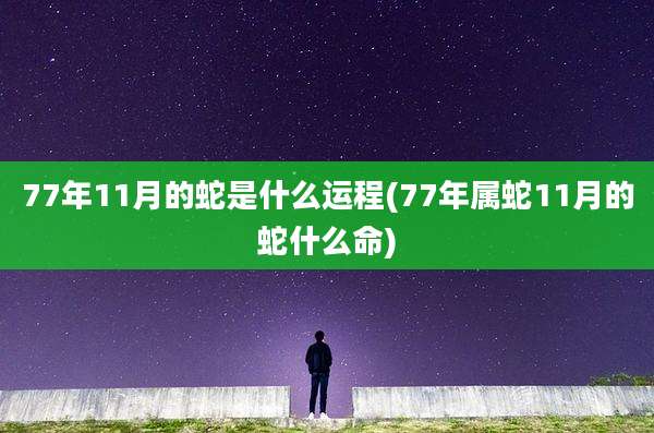 77年11月的蛇是什么运程(77年属蛇11月的蛇什么命)
