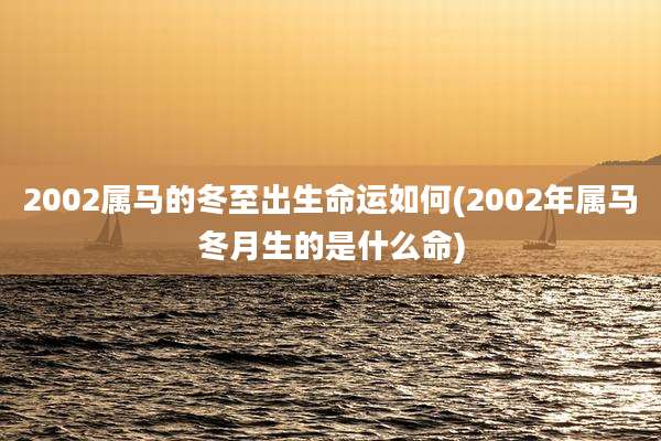 2002属马的冬至出生命运如何(2002年属马冬月生的是什么命)
