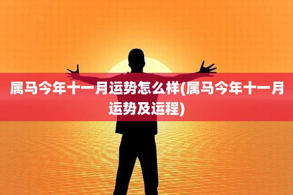 属马今年十一月运势怎么样(属马今年十一月运势及运程)
