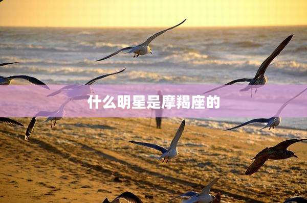 什么明星是摩羯座的