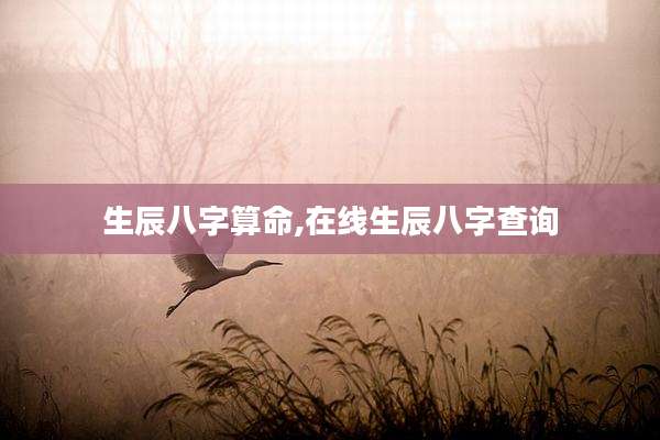 生辰八字算命,在线生辰八字查询