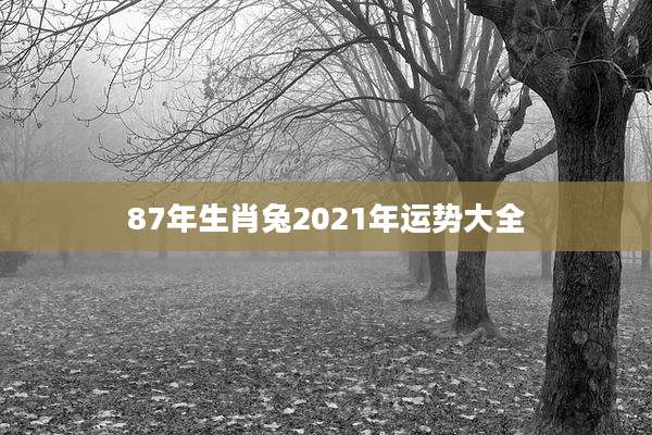 87年生肖兔2021年运势大全