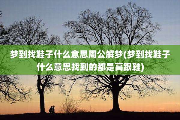 梦到找鞋子什么意思周公解梦(梦到找鞋子什么意思找到的都是高跟鞋)