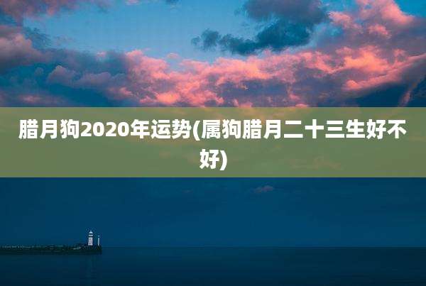 腊月狗2020年运势(属狗腊月二十三生好不好)