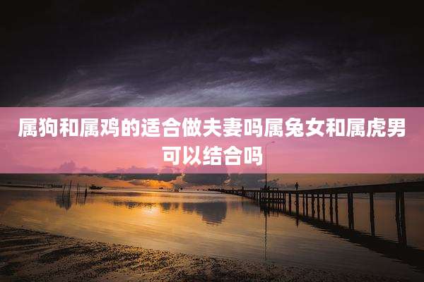 属狗和属鸡的适合做夫妻吗属兔女和属虎男可以结合吗