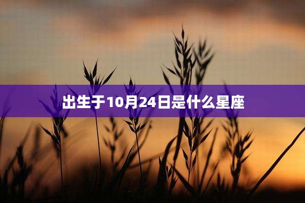 出生于10月24日是什么星座