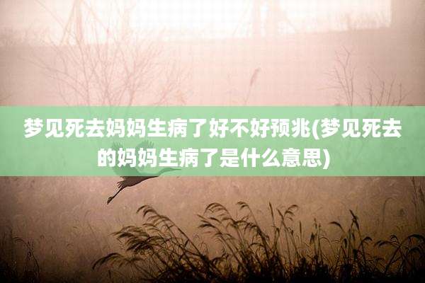 梦见死去妈妈生病了好不好预兆(梦见死去的妈妈生病了是什么意思)