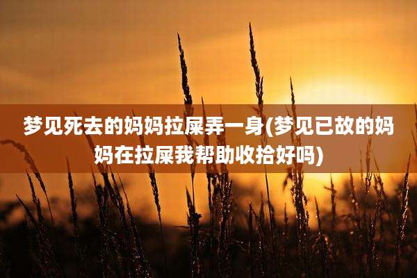 梦见死去的妈妈拉屎弄一身(梦见已故的妈妈在拉屎我帮助收拾好吗)