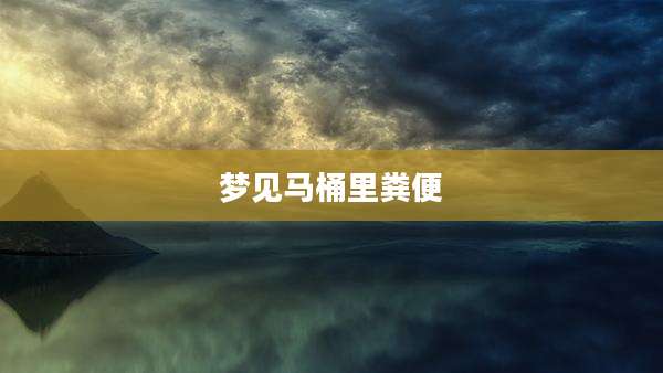 梦见马桶里粪便