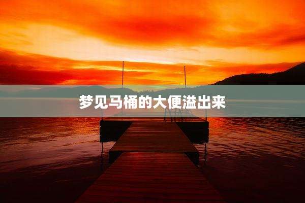 梦见马桶的大便溢出来