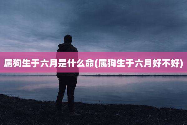 属狗生于六月是什么命(属狗生于六月好不好)