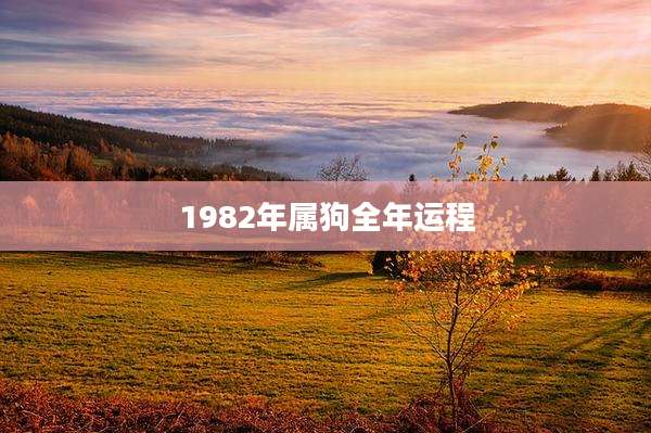 1982年属狗全年运程
