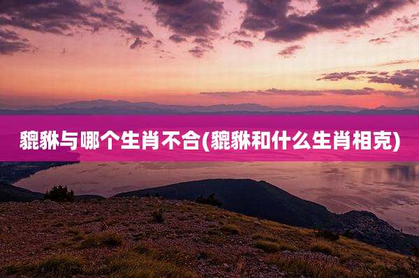 貔貅与哪个生肖不合(貔貅和什么生肖相克)
