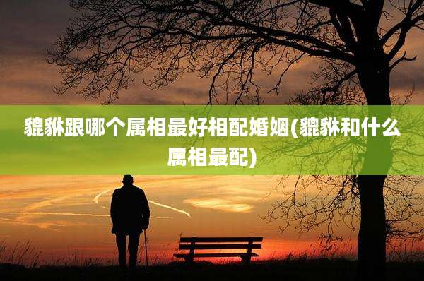 貔貅跟哪个属相最好相配婚姻(貔貅和什么属相最配)
