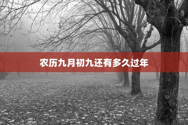 农历九月初九还有多久过年