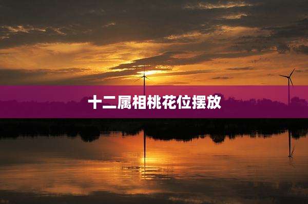 十二属相桃花位摆放