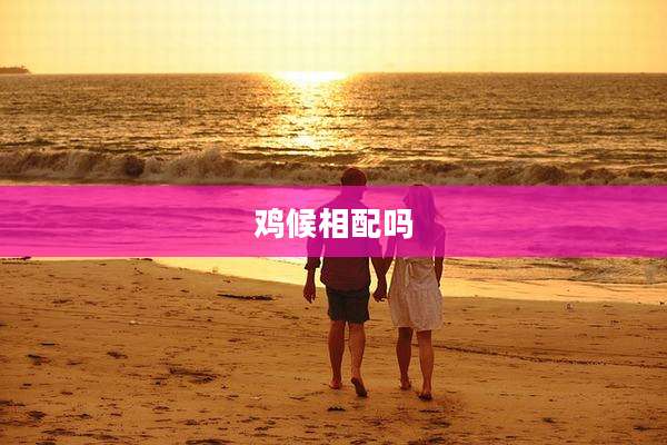 鸡候相配吗