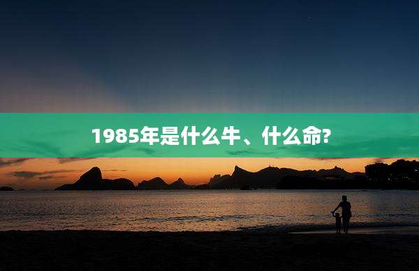1985年是什么牛、什么命?