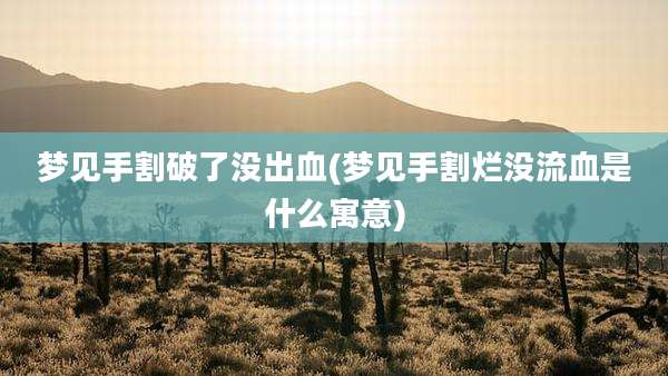 梦见手割破了没出血(梦见手割烂没流血是什么寓意)