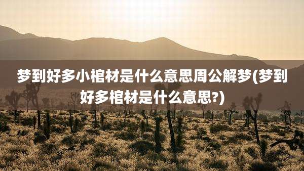 梦到好多小棺材是什么意思周公解梦(梦到好多棺材是什么意思?)