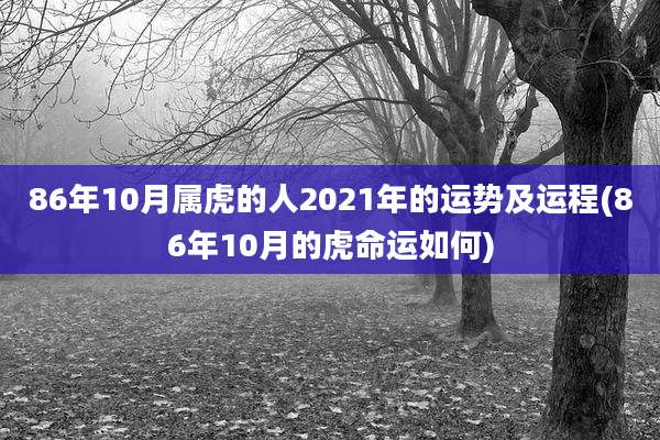 86年10月属虎的人2021年的运势及运程(86年10月的虎命运如何)