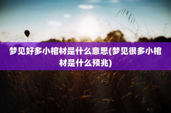 梦见好多小棺材是什么意思(梦见很多小棺材是什么预兆)