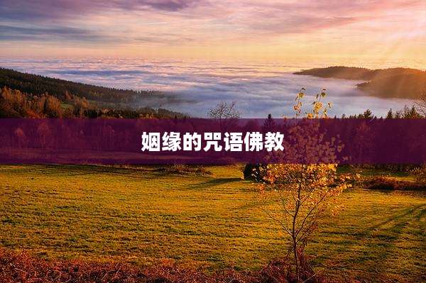 姻缘的咒语佛教