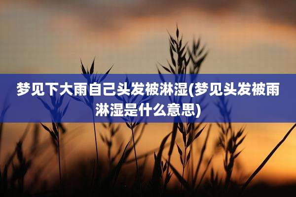 梦见下大雨自己头发被淋湿(梦见头发被雨淋湿是什么意思)