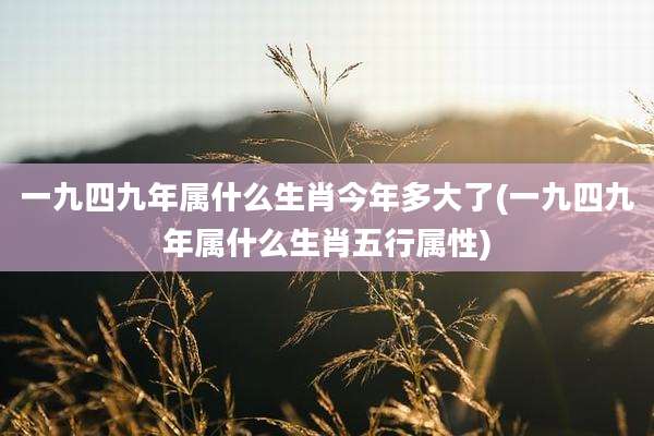 一九四九年属什么生肖今年多大了(一九四九年属什么生肖五行属性)