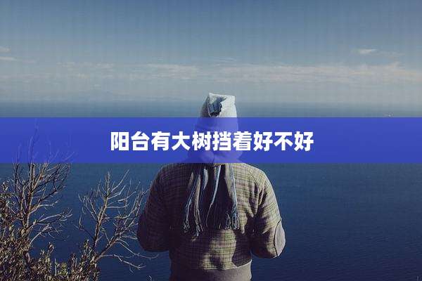阳台有大树挡着好不好