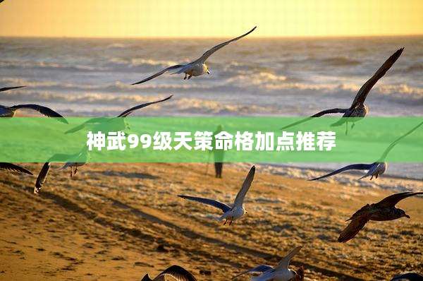神武99级天策命格加点推荐