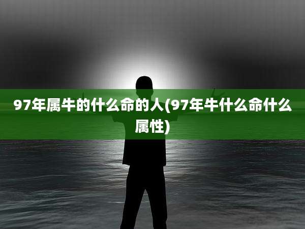 97年属牛的什么命的人(97年牛什么命什么属性)