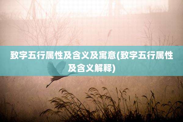 致字五行属性及含义及寓意(致字五行属性及含义解释)