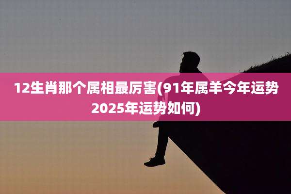 12生肖那个属相最厉害(91年属羊今年运势2025年运势如何)