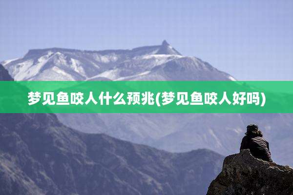 梦见鱼咬人什么预兆(梦见鱼咬人好吗)