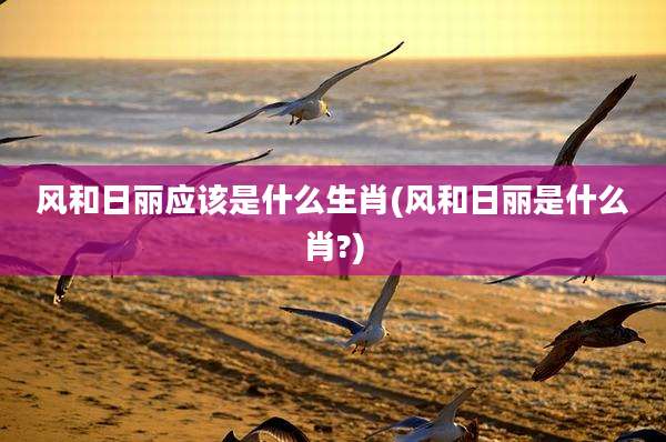 风和日丽应该是什么生肖(风和日丽是什么肖?)