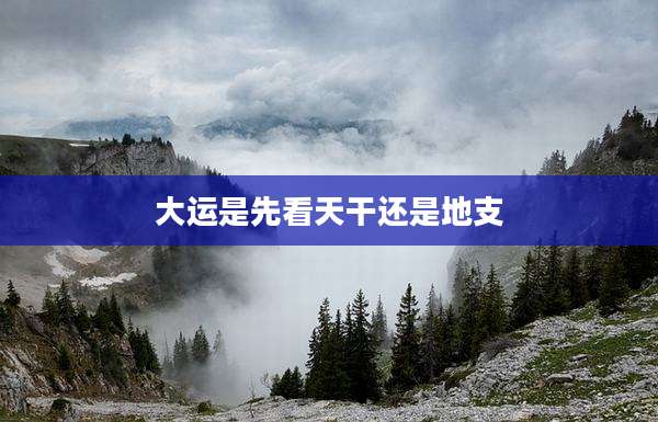 大运是先看天干还是地支