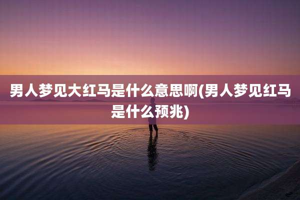 男人梦见大红马是什么意思啊(男人梦见红马是什么预兆)