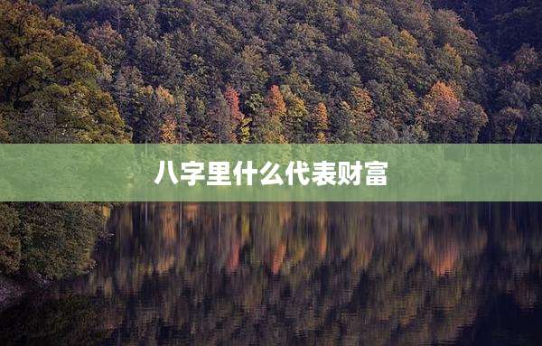 八字里什么代表财富