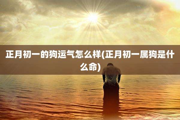 正月初一的狗运气怎么样(正月初一属狗是什么命)