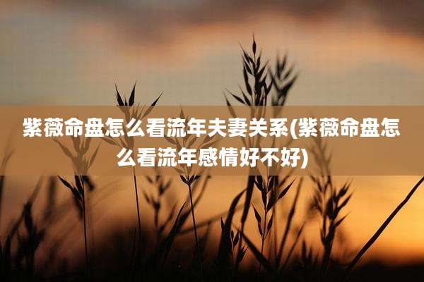紫薇命盘怎么看流年夫妻关系(紫薇命盘怎么看流年感情好不好)