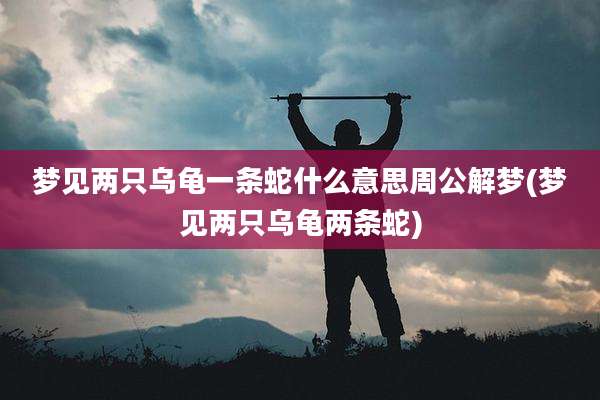 梦见两只乌龟一条蛇什么意思周公解梦(梦见两只乌龟两条蛇)