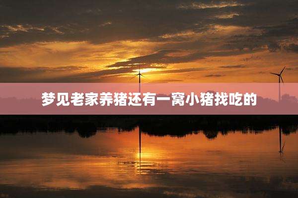 梦见老家养猪还有一窝小猪找吃的