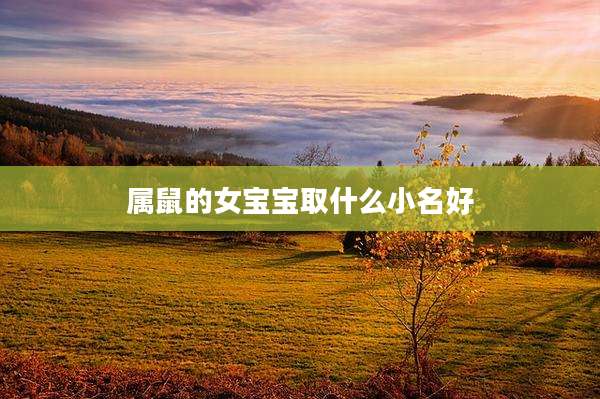 属鼠的女宝宝取什么小名好