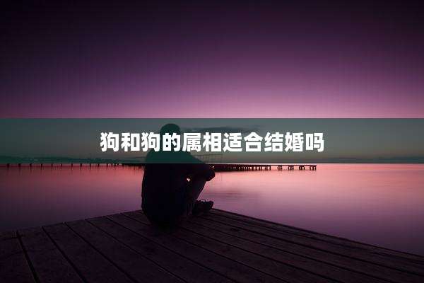 狗和狗的属相适合结婚吗
