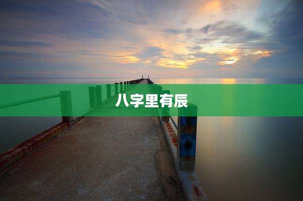八字里有辰