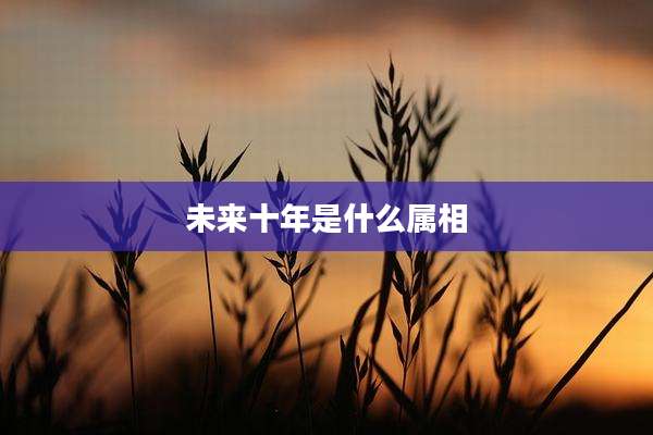 未来十年是什么属相